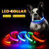 LED Dog Collar - Keep Your Dog Safe and Seen at Night!
