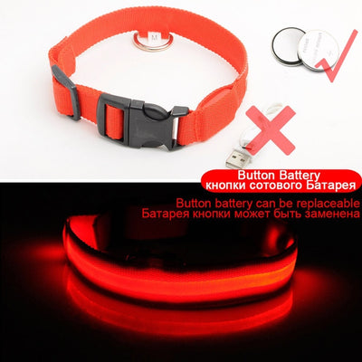 LED Dog Collar - Keep Your Dog Safe and Seen at Night!